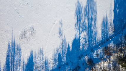 Top drone view of blue shadows of trees on white snow.