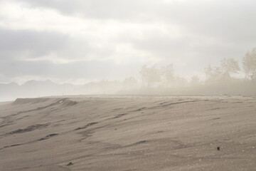 Sand-stormy beach