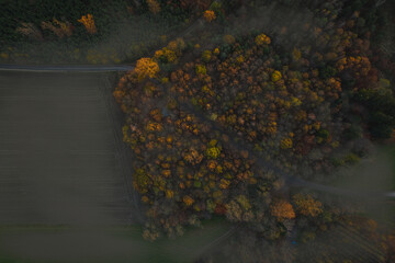 Aerial drone shot of the autumn at the woods