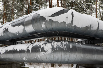 Close-up of industrial metal pipes in winter forest.