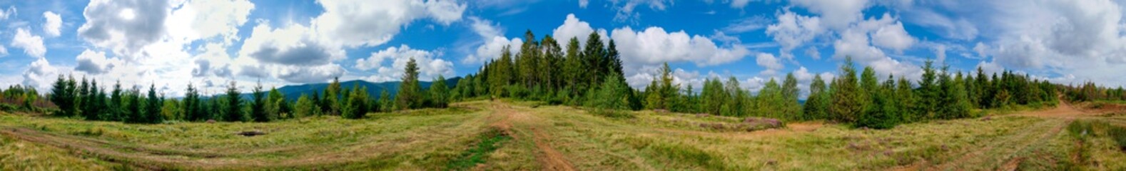 Beautiful rural summer landscape with forest, blue sky and white clouds, panorama. spring landscape with panoramic views of meadow and mountains