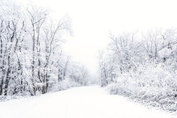 Fototapeta na wymiar Snowy road in winter forest