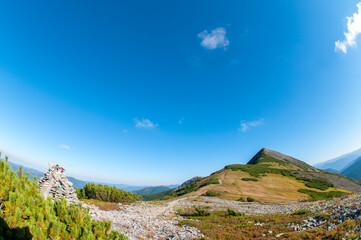 pointers in the mountains for hiking on a sunny day