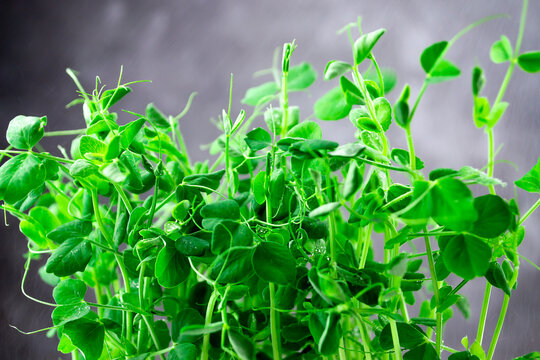 Young green peas close-up © Татьяна Качайло