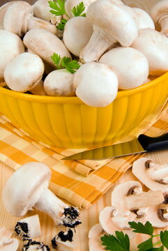 White button mushrooms (Agaricus bisporus), Champignon
