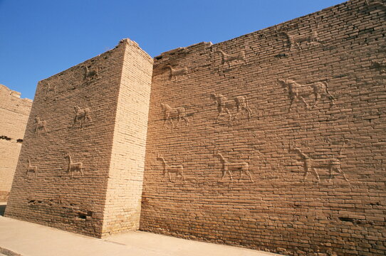 Holy bull, Babylon, Iraq