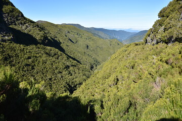 Lewady Madera Portugalia 25 fontes