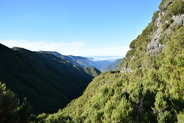 Fototapeta premium Lewady madera Portugalia 25 fontes