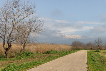 Early  morning at Lake Hula Nature Reserve with the snow-capped peak of Mount Hermon in northern Israel in the background.