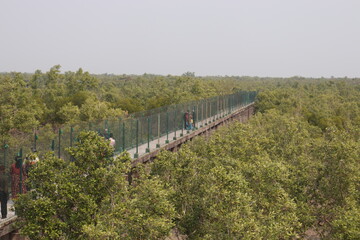 Obraz premium Wonderful passage for people to travel in deep forest