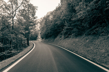 Empty road through mountains and woods over the Italian Alps