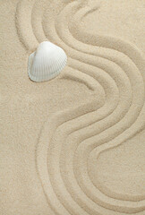 Fototapeta na wymiar one sea shell on sand top view concept zen