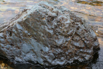 A close up image of a large gray blue stone with an uneven fluted streamlined surface of volcanic origin lies outside in clear water with a rocky bottom