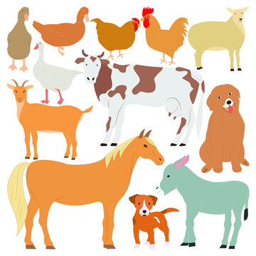 Helmets Vector Icon Set isolated on white background. House animals.Horse cow  dog chicken goose  duck  rooster  sheep  goat donkey.İllustration  vector 
