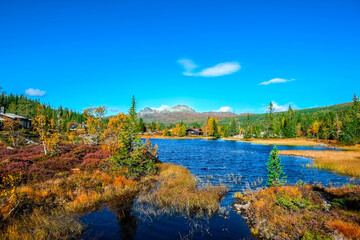 Hjartdal, in southern Norway, an area full of nature with spectacular forests, lakes and mountains