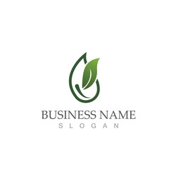 Fototapeta premium Logos of green Tree leaf ecology