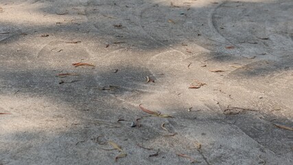 water drops on the sand