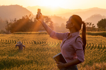 Barley farmer cultivating quality checks with modern technology concept of tablet agriculture.