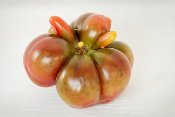 Organic original shape tomato (Purple calabash heirloom) close-up view. Bio vegetable from own...