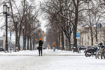 person walking in the snow