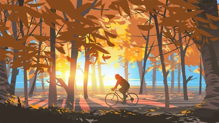 Papier Peint photo Lavable Grand échec homme faisant du vélo dans le parc forestier d& 39 automne le matin ensoleillé, illustration vectorielle