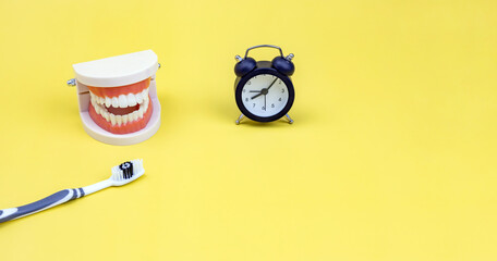 a model of a man's jaw, a toothbrush, and a watch on a yellow background. the concept of dental health