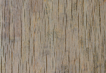 the texture of plywood with cracks, natural color
