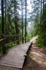 Wooden board stairs leading to Sietiniezis Rock in the forest of Gauja National Park, Latvia