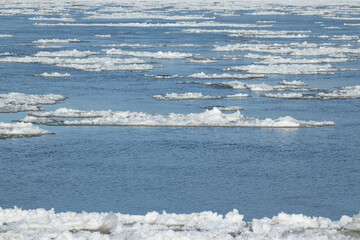 Ice floes flowing down the river