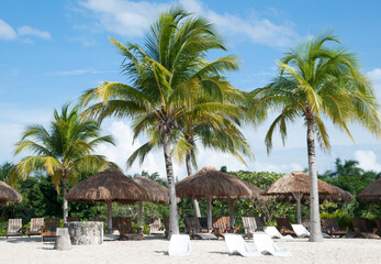 Cozumel Island Beach With Straw Umbrellas