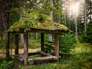 Wooden simple shelter in woods with moss-covered roof....