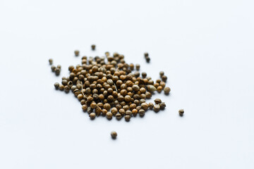 Coriander microgreen seeds. Germinating seeds at home. Sprouted seeds, micro greens. Vegan and healthy food concept.