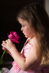 Fototapeta premium A cute little girl with long hair in a beautiful pink dress holds a red rose flower in her hands and sniffs it. Dark background