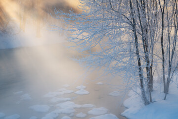 Landscape with sunbeams of snow flocked trees at sunrise along the foggy Kalamazoo River, Michigan, USA 