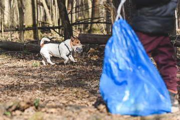Spring cleaning in park with dog fetching plastic bottle to kid with blue bag for waste