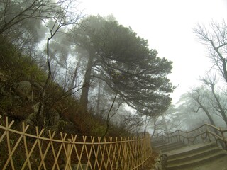 China Mount HuangShan - April, 2015: Natural scenery, sunsets, peculiarly-shaped granite peaks, Huangshan pine trees and views of the clouds from above. Photo taken in Yellow Mountain (UNESCO).