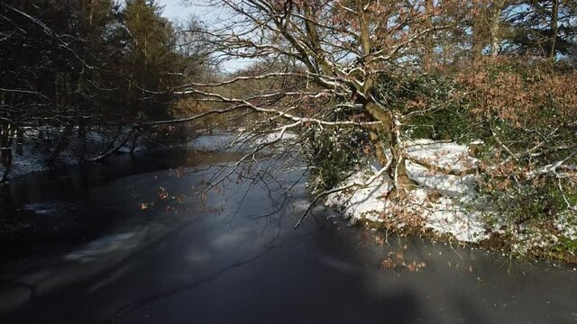Drohne über dem Bootsteich im Winter im Bürgerpark Bremerhaven, gefrorene Oberfläche und eingeschneiter Baum am Wasser