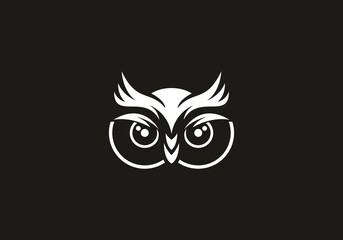 Black and white of owl face