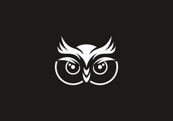 Black and white of owl face