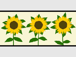 Sunflowers trio over light yellow panel