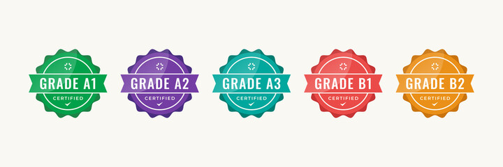 Certified badge logo design for company training badge certificates to determine based on criteria. Set bundle certify colorful vector illustration template.