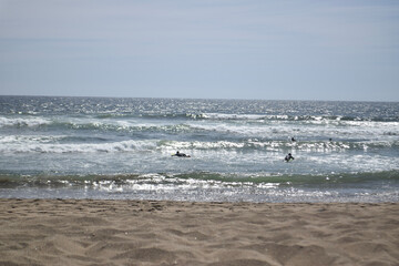 orilla del mar, playas de chile, Chile Maitencillo 