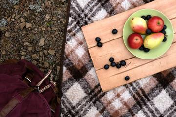 Apples, pears, grape lies on a green plate on a wooden stand on a plaid. Cozy picnic on fresh air. Stone ground. Vegetarian healthy meal. Backpack is near it