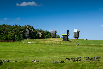 Wooden windmills in the village