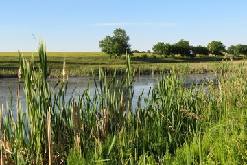 Beautiful view on pond in summer day, european village landscape