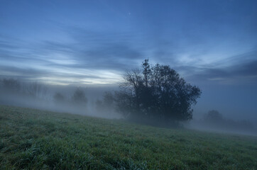 foggy morning in the moutains - obrazy, fototapety, plakaty