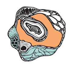 Vector Abstract Composition