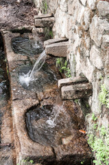 Water spring of the beautiful national park of Monfrague Caceres, Extremadura, Spain, Europe