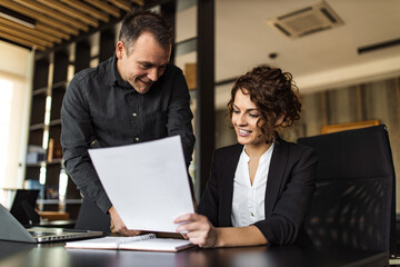 Portrait of a businessman showing document to an executive.