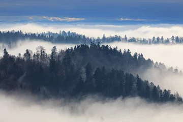 Crédence de cuisine en verre imprimé Forêt dans le brouillard brouillard dans la forêt dans les montagnes, Bieszczady
